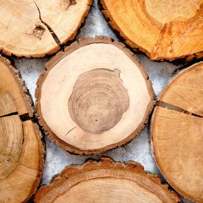 A few aged, cracked, wooden, circular tree section with rings and texture placed on stone table. With copy space.
